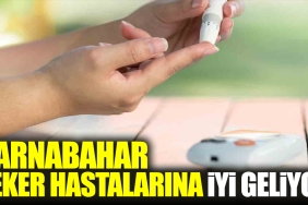 karnabahar-seker-hastalarina-uygun-geliyor-NqgKI3nX.jpg