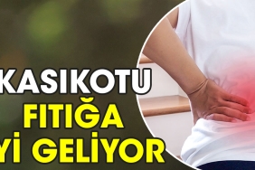 kasikotu-fitiga-guzel-geliyor-kfzw6FkY.jpg