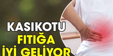 kasikotu-fitiga-guzel-geliyor-kfzw6FkY.jpg