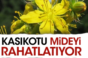 kasikotu-mideyi-rahatlatiyor-gDZKf6jw.jpg