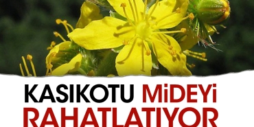 kasikotu-mideyi-rahatlatiyor-gDZKf6jw.jpg