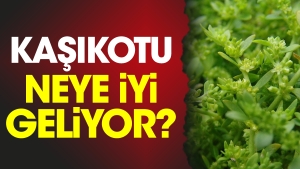 kasikotu-neye-guzel-geliyor-uwtWScfj.jpg