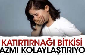 katirtirnagi-bitkisi-hazmi-kolaylastiriyor-heeEJlbd.jpg