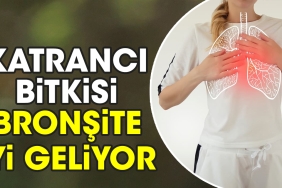 katranci-bitkisi-bronsite-guzel-geliyor-kGxFBdUg.jpg