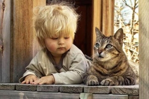 kedi-ve-kopek-fobisi-e1bQQjML.jpg