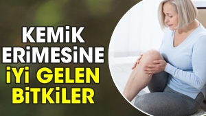 kemik-erimesine-duzgun-gelen-bitkiler-nycs78eR.jpg