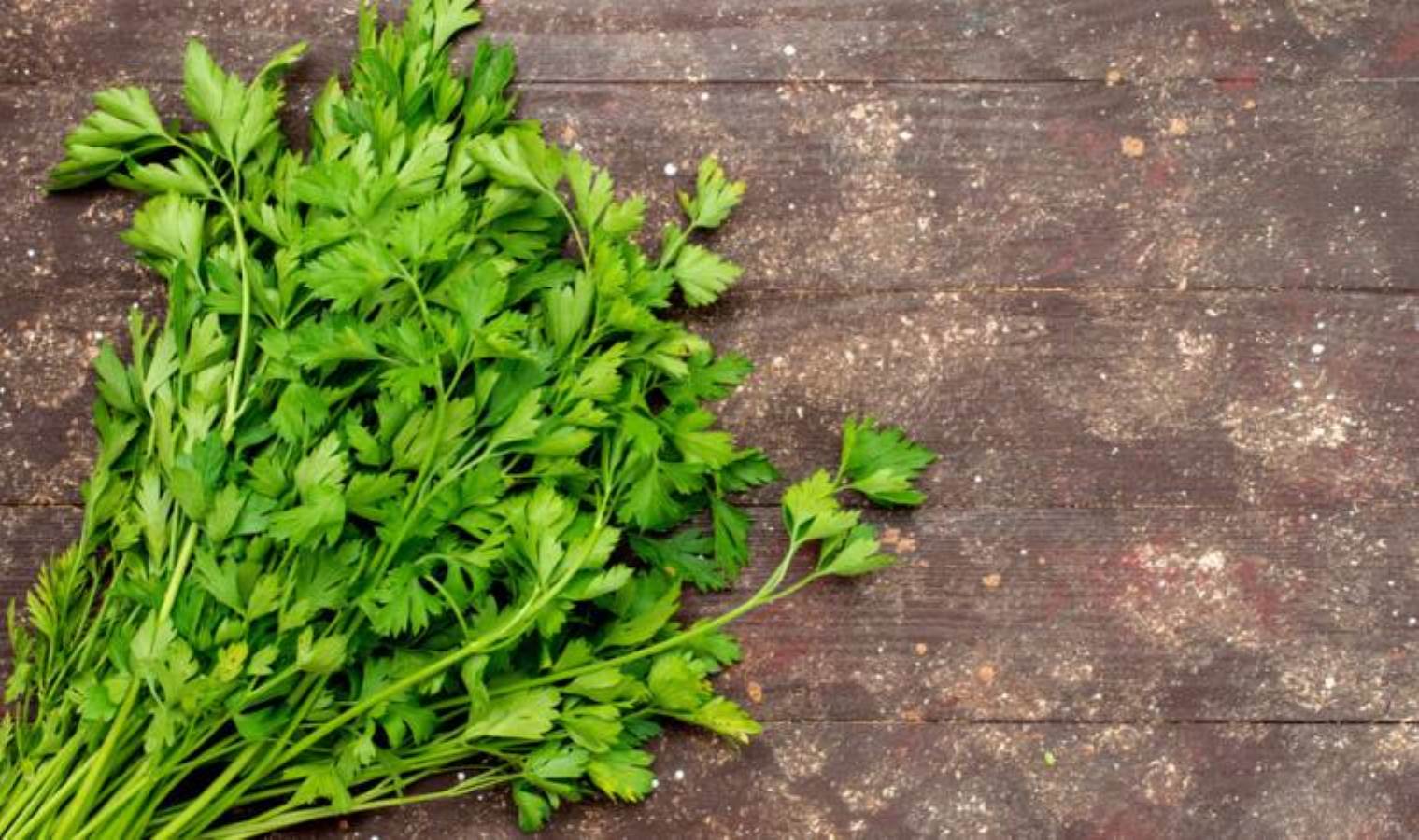 Kış Mevsiminde Bağışıklık Sistemimizi Güçlendiren Besinler