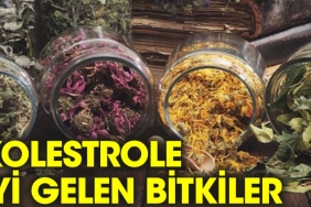 kolesterol-icin-sifali-bitkiler-X8ntSZQU.jpg