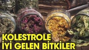 kolesterol-icin-sifali-bitkiler-X8ntSZQU.jpg