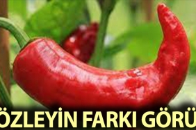 kozlenmis-kirmizi-biberin-faydalari-qXGZPuCA.jpg
