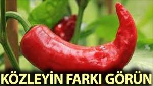 kozlenmis-kirmizi-biberin-faydalari-qXGZPuCA.jpg