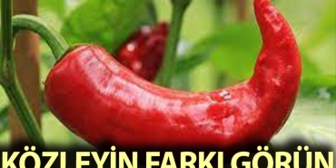 kozlenmis-kirmizi-biberin-faydalari-qXGZPuCA.jpg