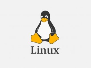 linux-nedir-DG139qz3.jpg
