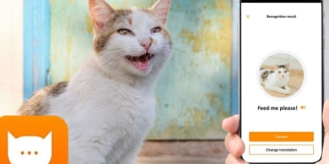 meowtalk-kedilerin-miyavlamalarini-ceviri-eden-uygulama-OL8rcbib.jpg