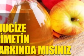 mucize-bir-nimet-elma-sirkesi-4Lrgq1U2.jpg