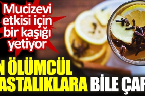 mucizevi-tesiri-icin-bir-kasigi-yetiyor-en-olumcul-hastaliklara-bile-deva-BIZvcEJm.jpg