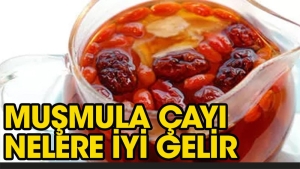 musmula-cayi-pek-cok-hastaliga-duzgun-gelir-k9CkFntk.jpg