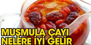 musmula-cayi-pek-cok-hastaliga-duzgun-gelir-k9CkFntk.jpg