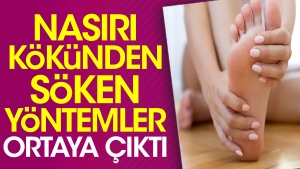 nasiri-kokunden-soken-prosedurler-ortaya-cikti-hINIIcet.jpg