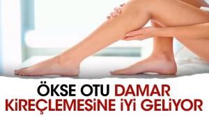 okse-otu-damar-kireclemesine-duzgun-geliyor-Oh6nuafa.jpg