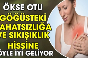 okse-otu-gogusteki-rahatsizliga-ve-sikisiklik-hissine-bu-turlu-guzel-geliyor-kBQLx4nZ.jpg