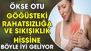 okse-otu-gogusteki-rahatsizliga-ve-sikisiklik-hissine-bu-turlu-guzel-geliyor-kBQLx4nZ.jpg
