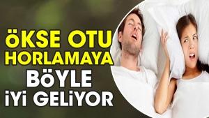okse-otu-horlamaya-bu-turlu-yeterli-geliyor-8OJte1cJ.jpg