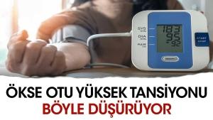 okse-otu-yuksek-tansiyonu-bu-turlu-dusuruyor-ICN1tJu7.jpg
