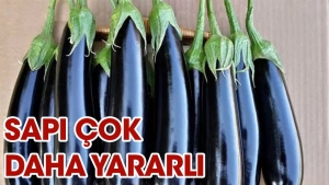 patlicanin-sapi-daha-mi-faydali-3eHqlgYj.jpg