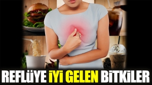 refluye-duzgun-gelen-bitkiler-aJdWMh6l.jpg