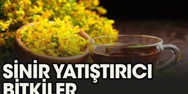 sinirlenmeyi-durduran-bitkiler-anxUgdv6.jpg