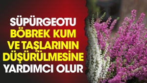 supurgeotu-bobrek-kum-ve-taslarinin-dusurulmesine-yardimci-olur-qm3jhWNw.jpg
