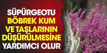 supurgeotu-bobrek-kum-ve-taslarinin-dusurulmesine-yardimci-olur-qm3jhWNw.jpg