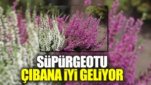 supurgeotu-cibana-uygun-geliyor-V3nuwkAU.jpg