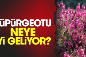 supurgeotu-neye-yeterli-geliyor-allsRg6h.jpg