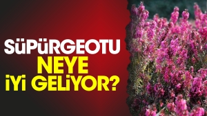 supurgeotu-neye-yeterli-geliyor-allsRg6h.jpg