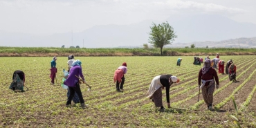 tarimda-ar-geye-400-milyon-lira-kaynak-ayriliyor-4KDLuVfI.jpg