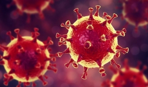 verem-asisi-uygulanan-ulkelerde-koronavirus-mevt-orani-6-kat-daha-dusuk-d1LCPs7d.jpg