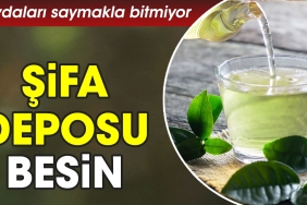 yararlari-saymakla-bitmiyor-sifa-deposu-besin-7ShnRZCY.jpg
