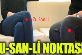 zu-san-li-nedir-jl54ZbIH.jpg
