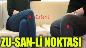 zu-san-li-nedir-jl54ZbIH.jpg