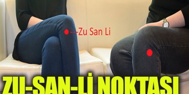zu-san-li-nedir-jl54ZbIH.jpg