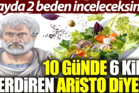 1-ayda-2-vucut-inceleceksiniz-10-gunde-6-kilo-verdiren-aristo-diyeti-AADZtnIR.jpg