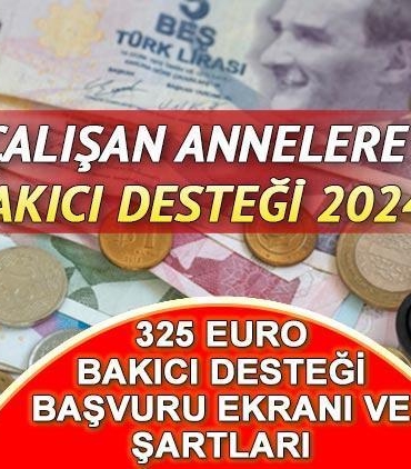 325-euro-bakici-dayanagi-muracaat-ekrani-calisan-anneye-bakici-takviyesi-muracaatlari-nasil-yapilir-swESThJk.jpg