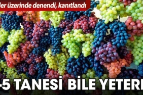 4-5-tane-emek-bile-k-fi-4NCDFVQP.jpg
