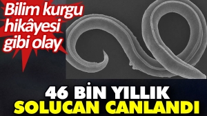 46-bin-yillik-solucan-canlandi-bilim-kurgu-kissasi-uzere-olay-ZpxbT8ml.jpg