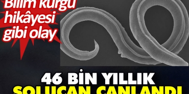 46-bin-yillik-solucan-canlandi-bilim-kurgu-kissasi-uzere-olay-ZpxbT8ml.jpg