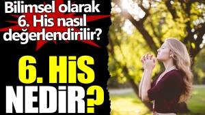6-his-nedir-bilimsel-olarak-6-his-nasil-kiymetlendirilir-PXT6LmgP.jpg
