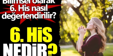 6-his-nedir-bilimsel-olarak-6-his-nasil-kiymetlendirilir-PXT6LmgP.jpg