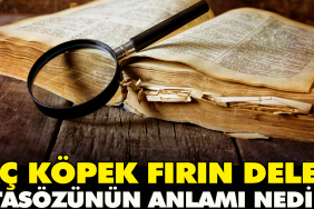 ac-kopek-firin-deler-atasozunun-manasi-nedir-9YFNppgS.jpg
